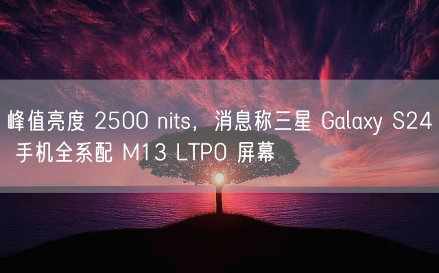 峰值亮度 2500 nits，消息称三星 Galaxy S24 手机全系配 M13 LTPO 屏幕